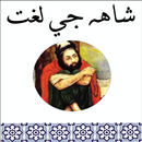 Shah Ji Lughat Sindhi APK