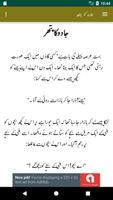 Urdu Kahaniyan Offline screenshot 3