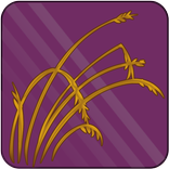 Carbohydrate Exchange Units