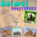 Animal Ecosystems
