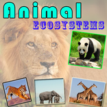 Animal Ecosystems
