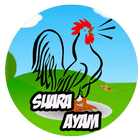 Suara Ayam - Chicken Sound Mp3 ícone