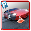 ”Pro Car Parking & Racing Simulator