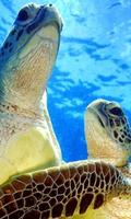 برنامه‌نما Sea Turtle Jigsaw Puzzles عکس از صفحه