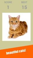 Snapcat : Snap Cat Games-poster