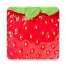 Sezon na zdrowie APK