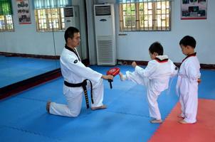 Karate Training & skills syot layar 1