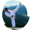 karate APK