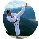 karate icône