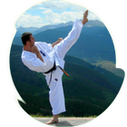 karate আইকন