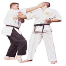 Complete Karate Technique APK