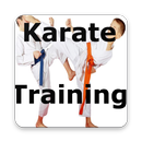 Karate Training APK