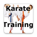 Karate Training Videos : Free Application APK