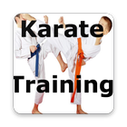 Karate Training Videos icon