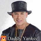 Daddy Yankee 圖標