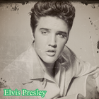 Elvis Presley icon