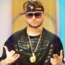 Farruko Letras de Canciones APK