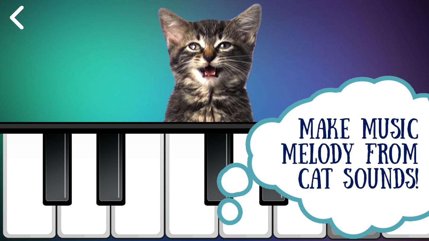 Кэтс песня. Кошка на пианино. Кошачье фортепиано. Кошачье фортепиано звук. Кошачье пианино звучание.