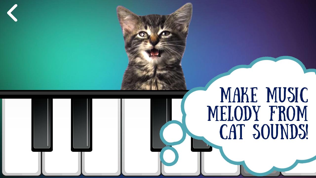 Звуки котят для кошки живой звук. Кошка на пианино. Кошачье фортепиано. Кошачье фортепиано звук. Кошачье пианино звучание.