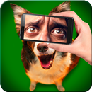 Animals with human eyes APK