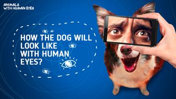 Animals with human eyes screenshot 2