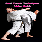 Best Karate Techniques Video Guide icône