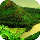 Mountain Nature Wallpapers APK