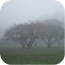 Nature Fog Wallpapers APK