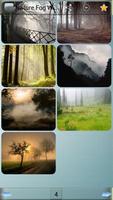 Nature Fog Wallpapers capture d'écran 3