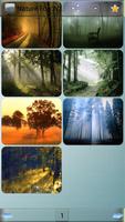 Nature Fog Wallpapers Affiche