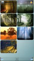 Nature Fog Wallpapers Poster