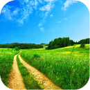 Natureza Relva Wallpapers APK