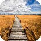 Nature Path wallpapers آئیکن