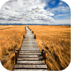 Nature Path wallpapers icono