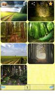 Nature Path wallpapers Affiche