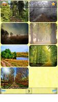 Nature Path wallpapers captura de pantalla 3