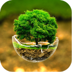 Nature Tree Wallpapers آئیکن