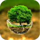 Nature Tree Wallpapers APK