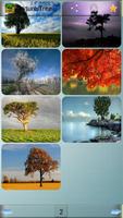 Nature Tree Wallpapers اسکرین شاٹ 1