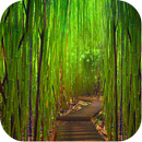 APK Bamboo Sfondi