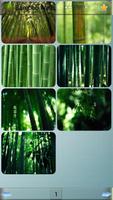 Bamboo Wallpapers plakat