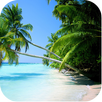 ビーチの背景 APK