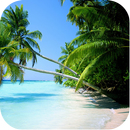 Beach Backgrounds APK