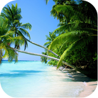 Beach Backgrounds আইকন