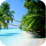 ikon Backgrounds pantai