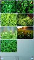 Clover Backgrounds ảnh chụp màn hình 1