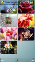 Imagens de flores imagem de tela 2