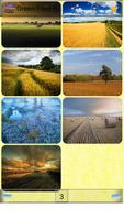 Green Filed Backgrounds screenshot 2