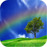 Rainbow Images icône