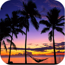 Sunset Backgrounds APK